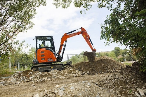 Роль экскаватора Hitachi в реабилитации слонов